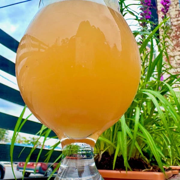 Close-up of a hazy beer in a goblet, with green plants and a brick wall in the background.